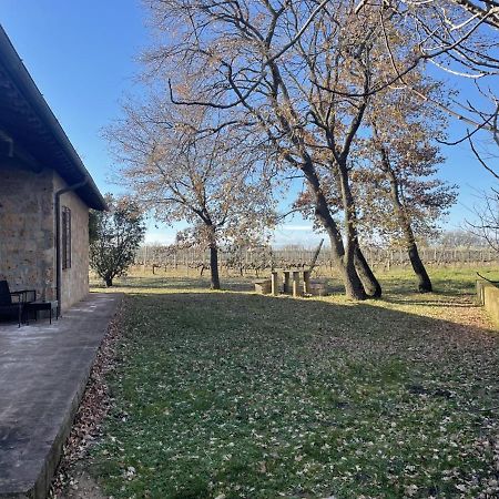 Agriturismo Eco-Bio Villa Vacasio 皮蒂利亚诺 外观 照片